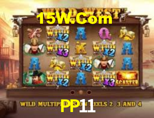 PP11