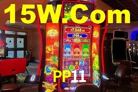 PP11,PP11 App