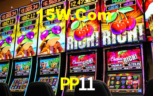 PP11 App