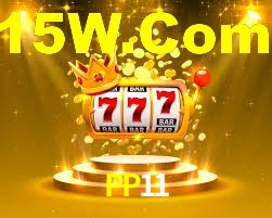 Programa VIP PP11